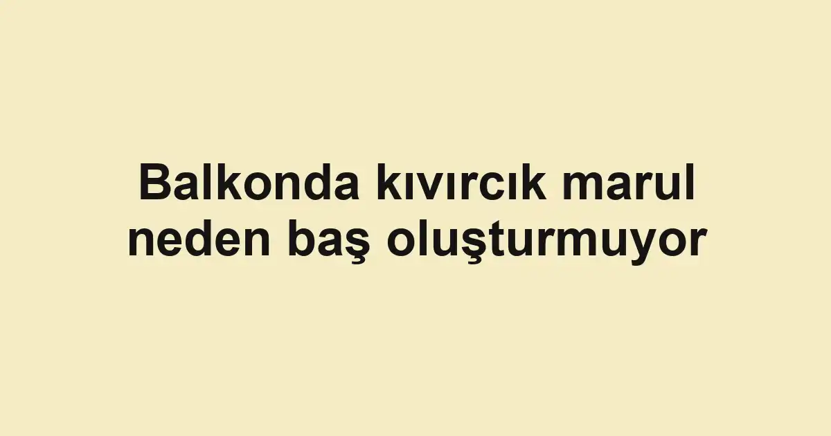 Balkonda kıvırcık marul neden baş oluşturmuyor