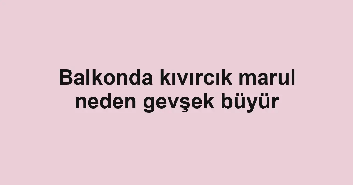 Balkonda kıvırcık marul neden gevşek büyür
