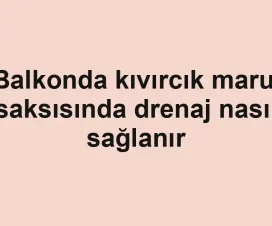 Balkonda kıvırcık marul saksısında drenaj nasıl sağlanır