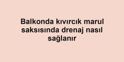 Balkonda kıvırcık marul saksısında drenaj nasıl sağlanır