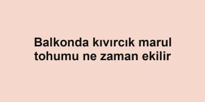 Balkonda kıvırcık marul tohumu ne zaman ekilir