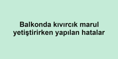 Balkonda kıvırcık marul yetiştirirken yapılan hatalar