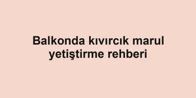 Balkonda kıvırcık marul yetiştirme rehberi