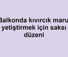 Balkonda kıvırcık marul yetiştirmek için saksı düzeni