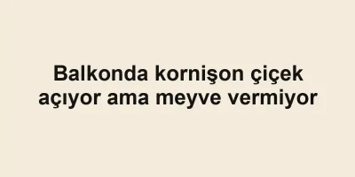 Balkonda kornişon çiçek açıyor ama meyve vermiyor