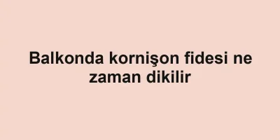 Balkonda kornişon fidesi ne zaman dikilir