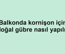 Balkonda kornişon için doğal gübre nasıl yapılır