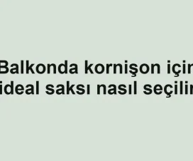 Balkonda kornişon için ideal saksı nasıl seçilir