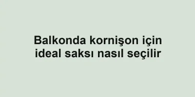 Balkonda kornişon için ideal saksı nasıl seçilir