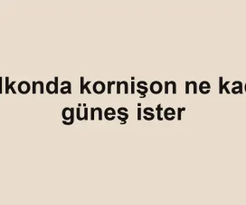 Balkonda kornişon ne kadar güneş ister