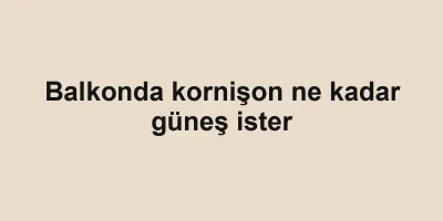 Balkonda kornişon ne kadar güneş ister