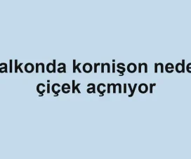 Balkonda kornişon neden çiçek açmıyor