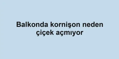 Balkonda kornişon neden çiçek açmıyor