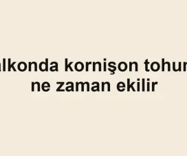 Balkonda kornişon tohumu ne zaman ekilir