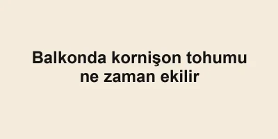Balkonda kornişon tohumu ne zaman ekilir