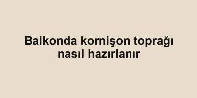 Balkonda kornişon toprağı nasıl hazırlanır