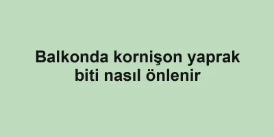Balkonda kornişon yaprak biti nasıl önlenir