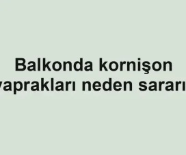 Balkonda kornişon yaprakları neden sararır
