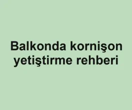 Balkonda kornişon yetiştirme rehberi