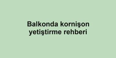 Balkonda kornişon yetiştirme rehberi