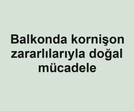 Balkonda kornişon zararlılarıyla doğal mücadele