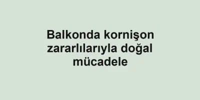 Balkonda kornişon zararlılarıyla doğal mücadele