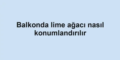Balkonda lime ağacı nasıl konumlandırılır