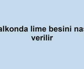 Balkonda lime besini nasıl verilir