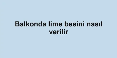 Balkonda lime besini nasıl verilir