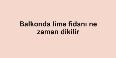 Balkonda lime fidanı ne zaman dikilir