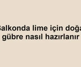 Balkonda lime için doğal gübre nasıl hazırlanır