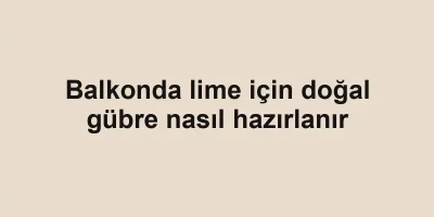Balkonda lime için doğal gübre nasıl hazırlanır