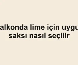 Balkonda lime için uygun saksı nasıl seçilir