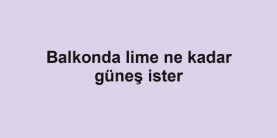Balkonda lime ne kadar güneş ister