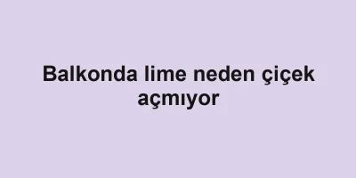 Balkonda lime neden çiçek açmıyor
