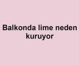 Balkonda lime neden kuruyor