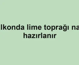 Balkonda lime toprağı nasıl hazırlanır