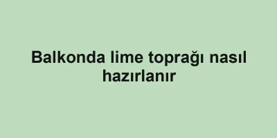 Balkonda lime toprağı nasıl hazırlanır