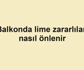 Balkonda lime zararlıları nasıl önlenir
