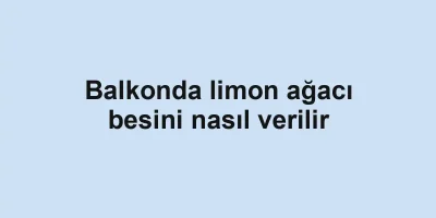 Balkonda limon ağacı besini nasıl verilir