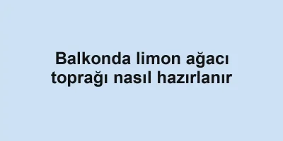 Balkonda limon ağacı toprağı nasıl hazırlanır