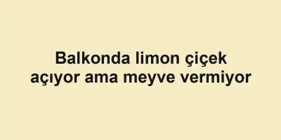 Balkonda limon çiçek açıyor ama meyve vermiyor