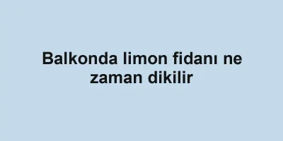 Balkonda limon fidanı ne zaman dikilir