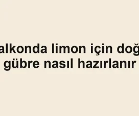 Balkonda limon için doğal gübre nasıl hazırlanır