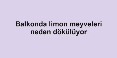 Balkonda limon meyveleri neden dökülüyor
