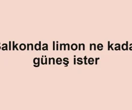 Balkonda limon ne kadar güneş ister