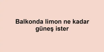 Balkonda limon ne kadar güneş ister