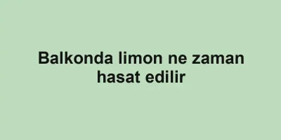 Balkonda limon ne zaman hasat edilir