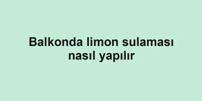Balkonda limon sulaması nasıl yapılır