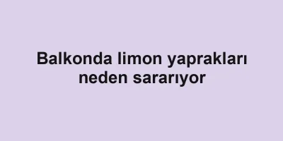Balkonda limon yaprakları neden sararıyor